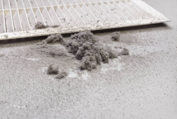 Best Ductwork Cleaning Services  in Roseto, PA