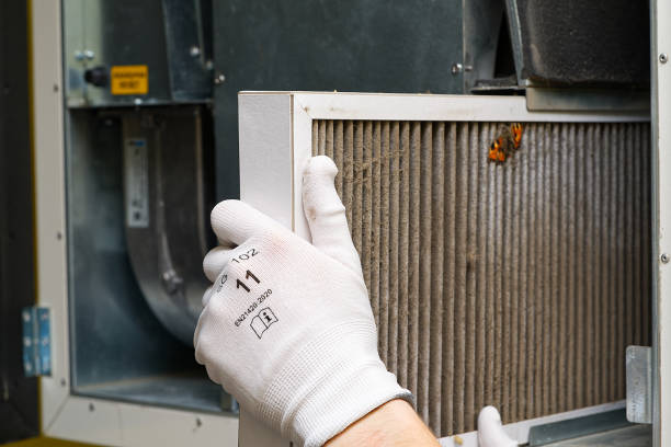 Best Air Quality Test  in Roseto, PA